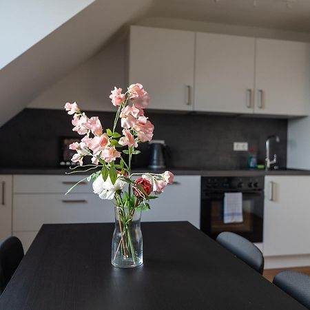 Wohnung Im Zentrum Von Koblenz 科布倫茨 外观 照片